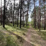 Fjola Holiday home