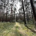 Fjola Holiday home