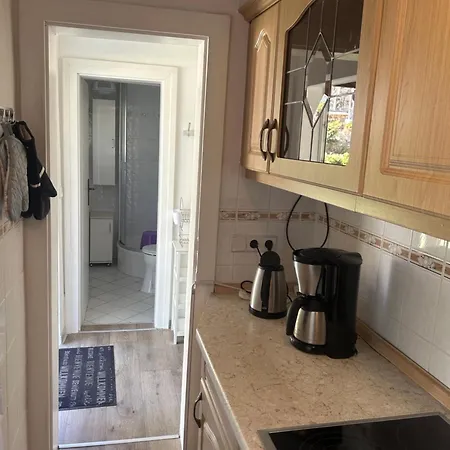 Fjola Schenkendobern