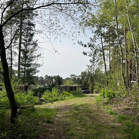 Fjola * Schenkendobern