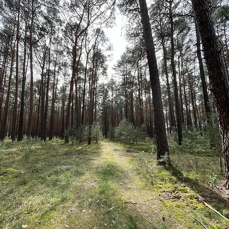 Fjola Σπίτι διακοπών