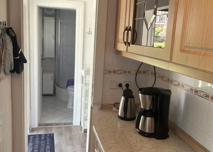 Fjola Schenkendobern