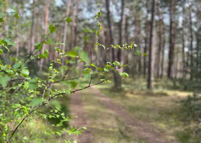 Fjola Сasa de vacaciones *