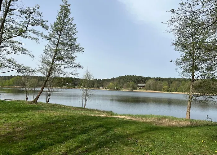 Fjola Schenkendobern