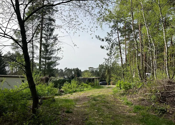 Fjola * Schenkendobern