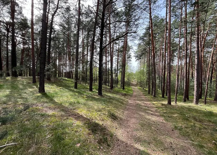 Fjola Сasa de vacaciones