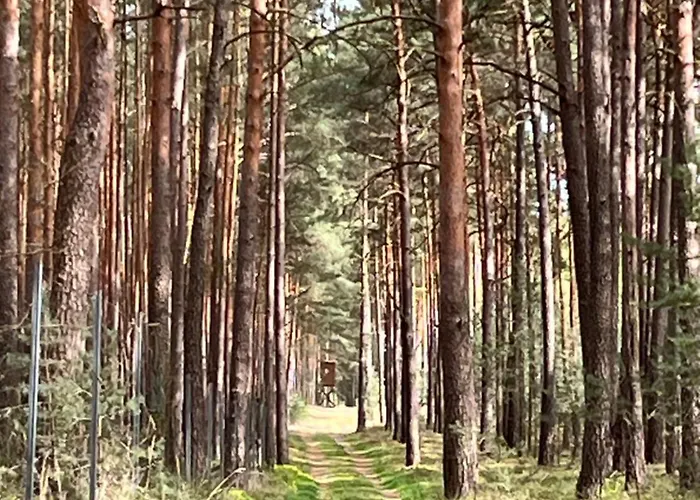 Сasa de vacaciones Fjola *