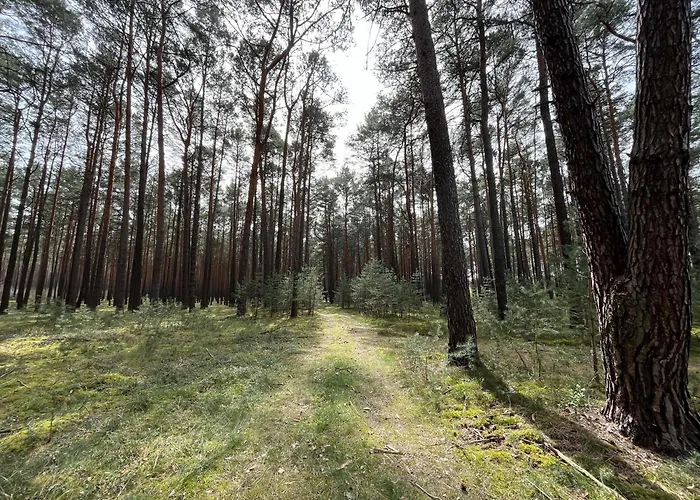 Fjola Сasa de vacaciones